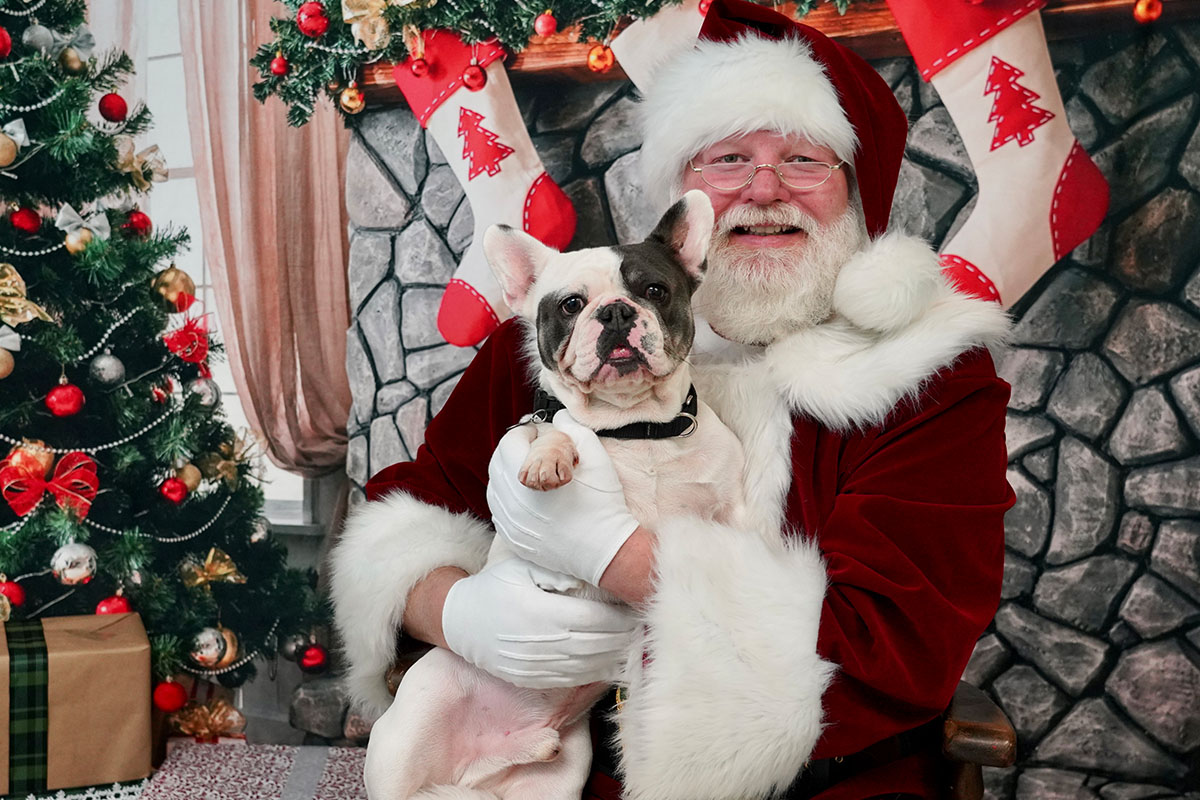 Santa Photos 6